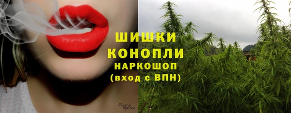 трава Беломорск