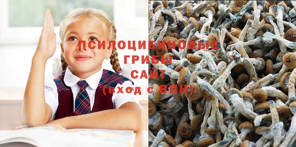 дмт Богданович