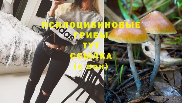 ПСИЛОЦИБИНОВЫЕ ГРИБЫ Богородск