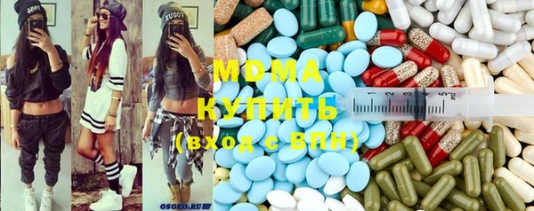 дмт Богданович