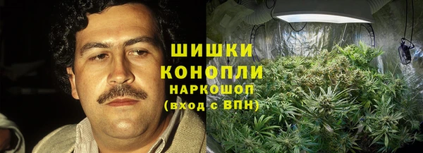 дмт Богданович